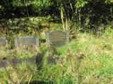 image of grave number 679571